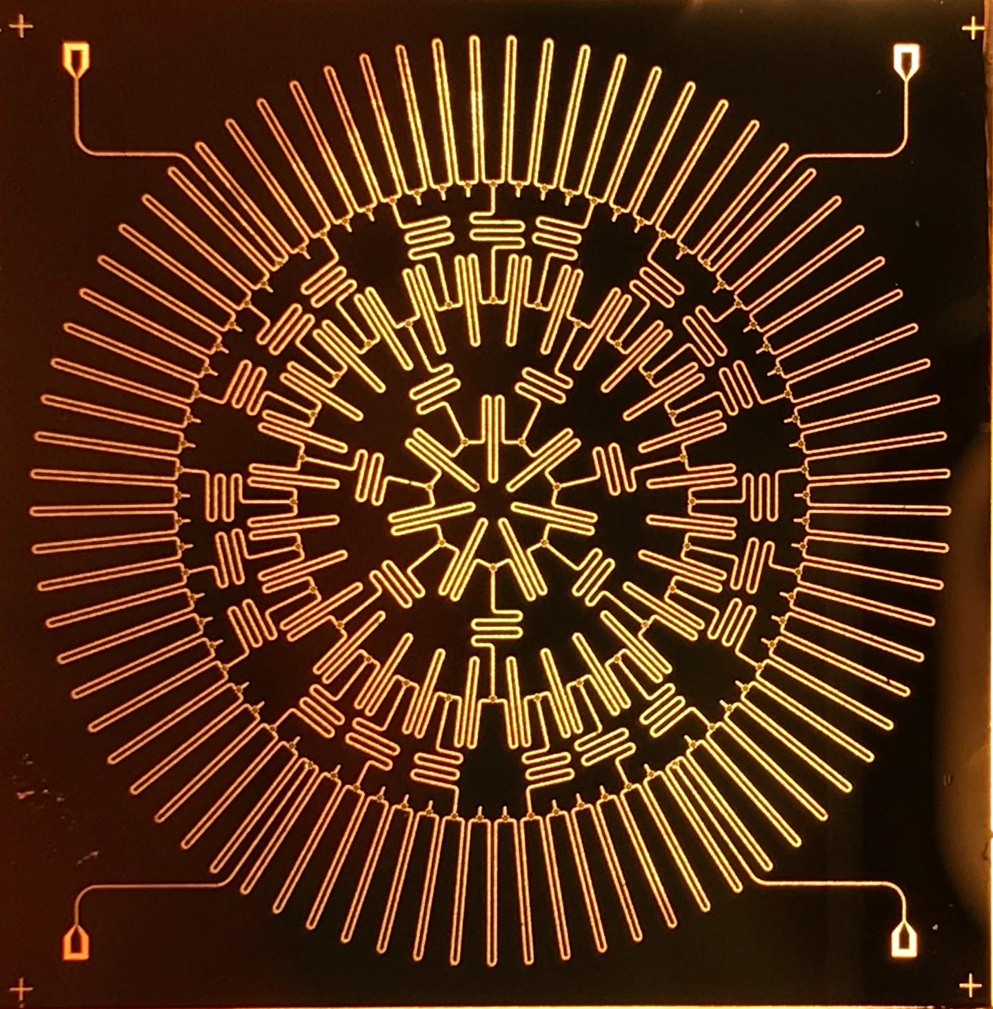 Electronic Array on a Microchip