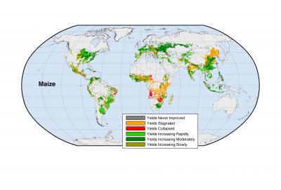 Global Maize Yields