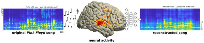 Scientists reconstruct Pink Floyd song by listening to people's brainwaves, Neuroscience