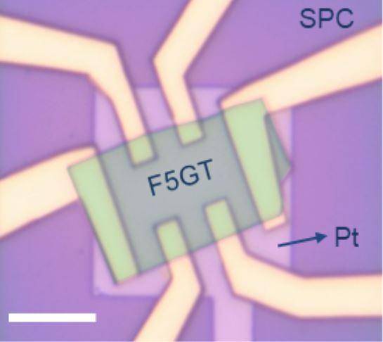 SP-FET transistor