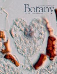 <i>American Journal of Botany</i> April Cover