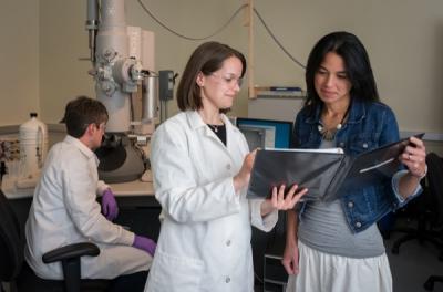 Nano Drug Carrier Research