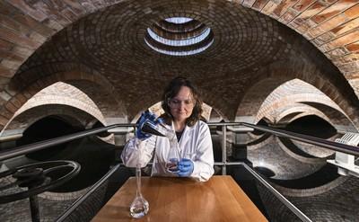 New Palladium and Nickel Catalysts, Examined at the IPC PAS