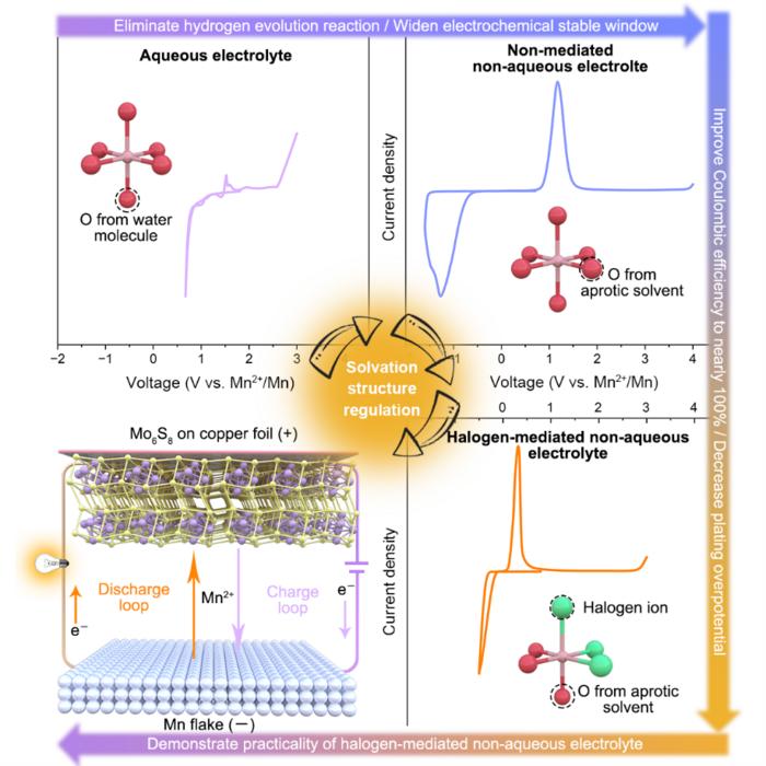 A rechargeable, non-aqueous manganese metal battery enabled by electrolyte regulation