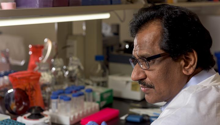 Ashok Shetty, Texas A&M University