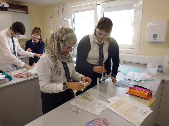 Student Citizen Scientists from St Josephs College, Dumfries working on Project M