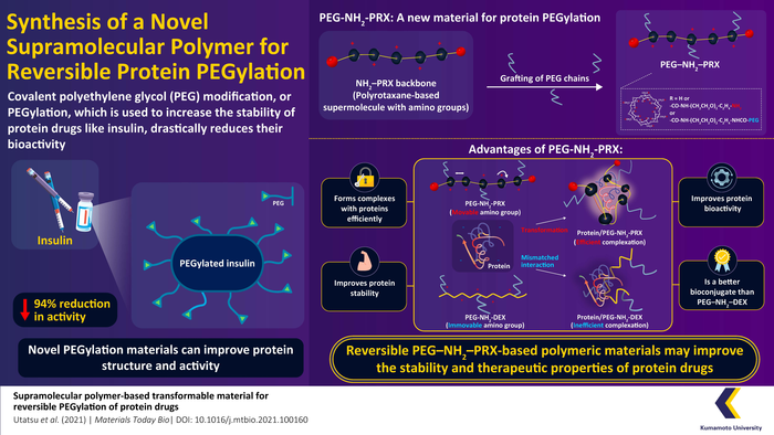 Reversible Protein PEGylation by Novel Supramolecular Polymer