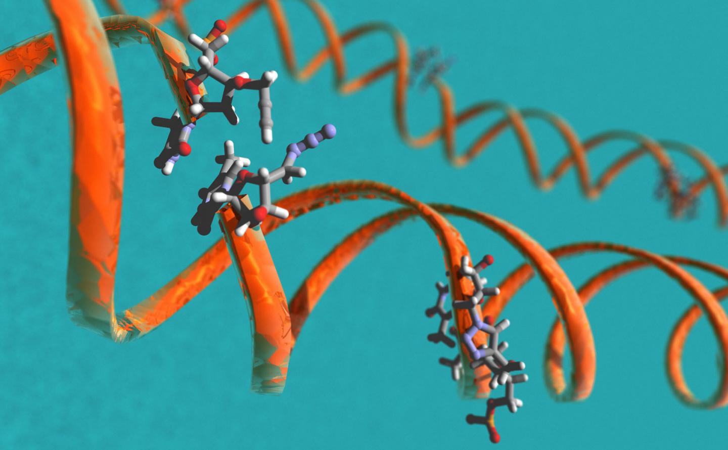 Artist's Impression of the Click-DNA Process