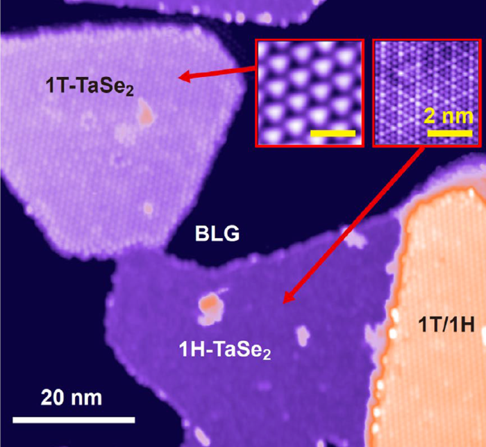 Ghost particles STM image