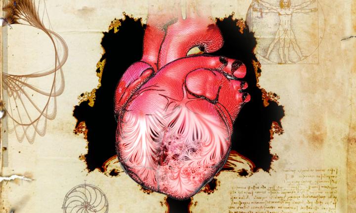 Da Vinci's heart