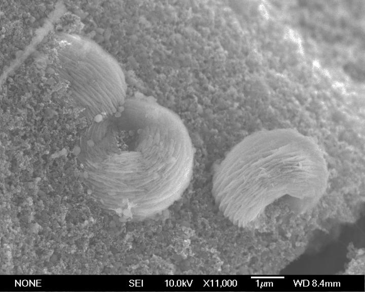 Testing a New Lithium-Oxygen Battery Concept