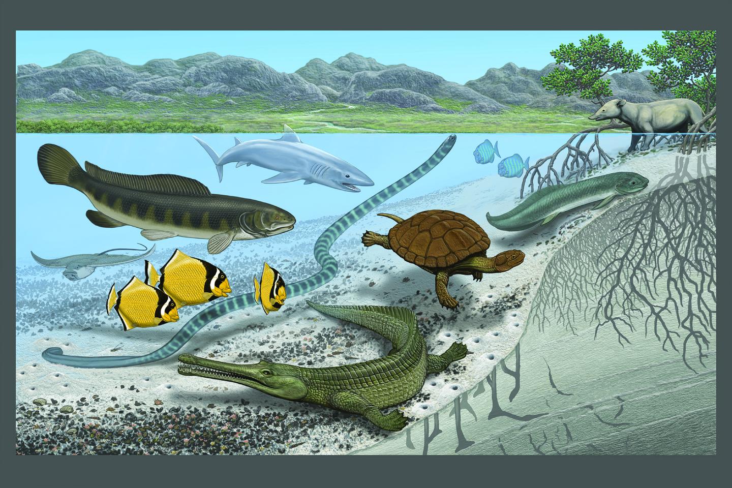 Saharan Seaway Reconstruction