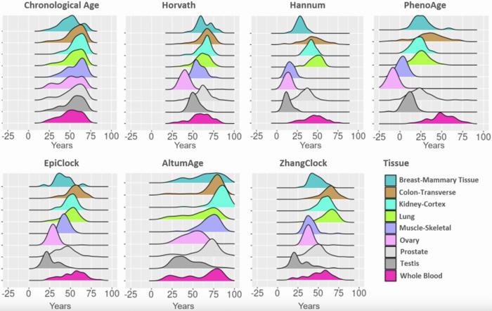 Characterization of DNA methylation clock algorithms applied to diverse tissue types