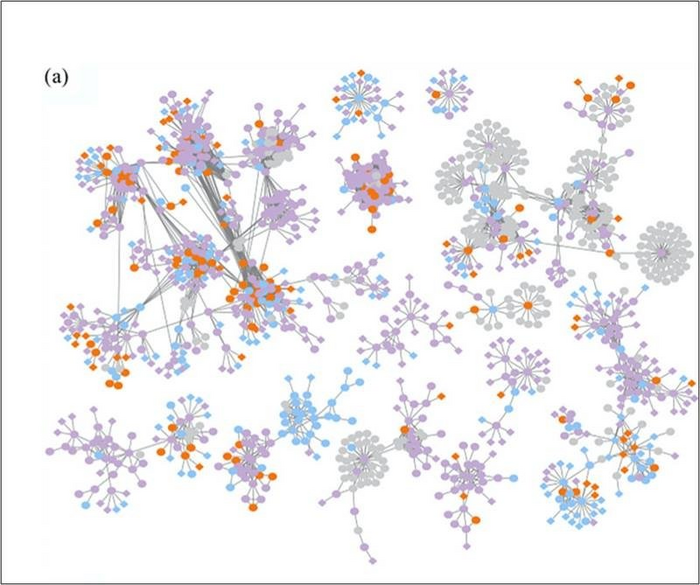 For Grassland Soil Viruses, Precipitation Shapes Diversity, Abundance, and Function