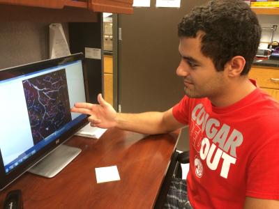 Sina Rezaei, University of Houston