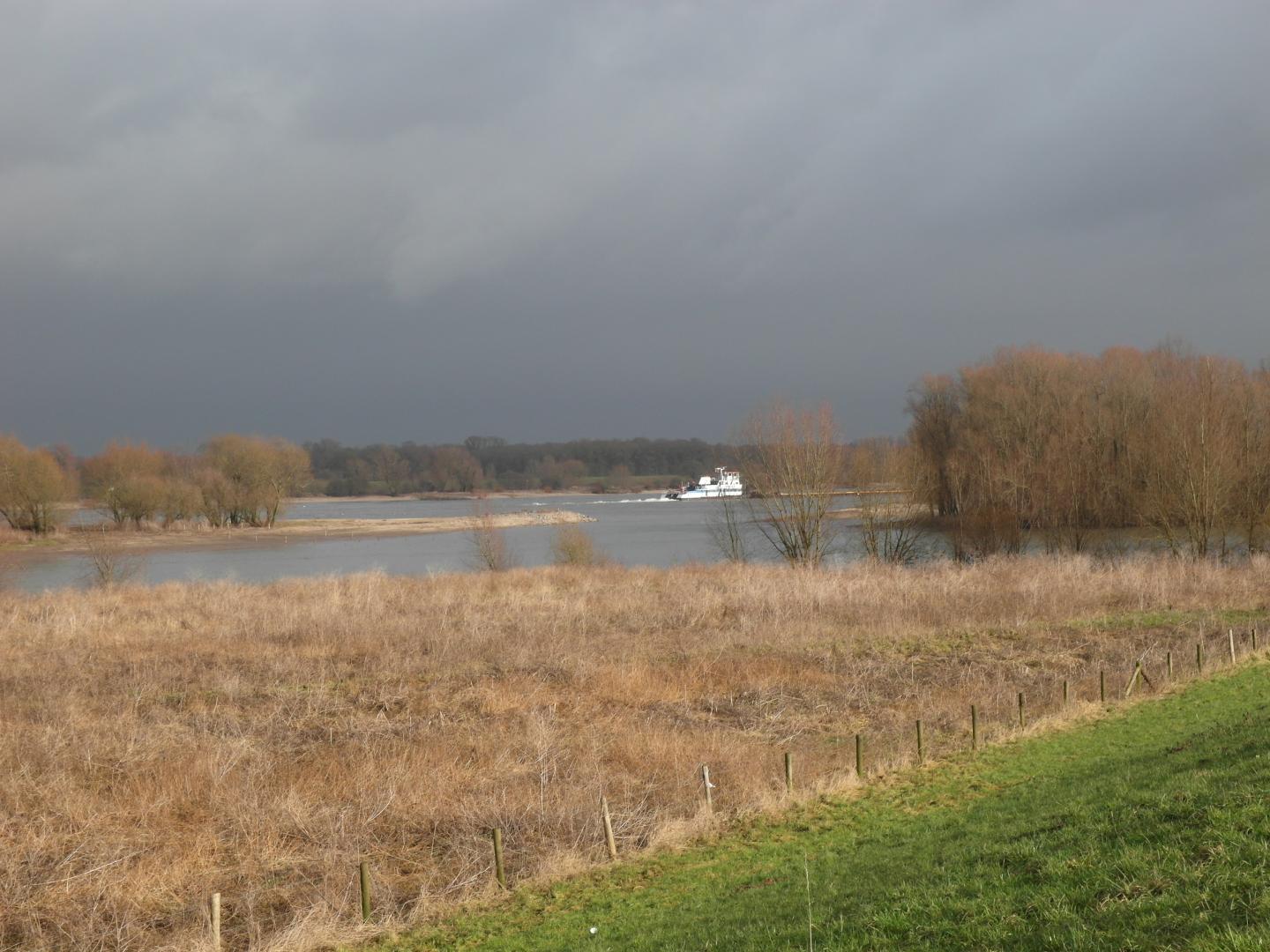 River Restoration Recovers Biodiversity While Reducing Flood Risk (2 of 4)