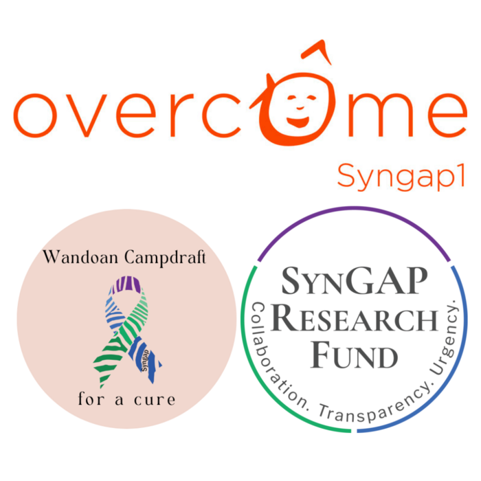 Wandoan Campdraft for a Cure, SynGAP Research Fund, Overcome Syngap1 logos