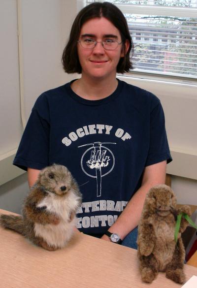 Evolution of Diggers