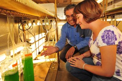 Himadri Pakrasi, Ph.D and Cynthia Koehler,   	 Washington University in St. Louis 