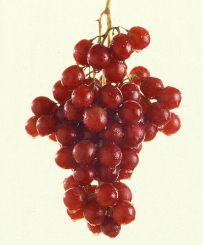 Red Grapes