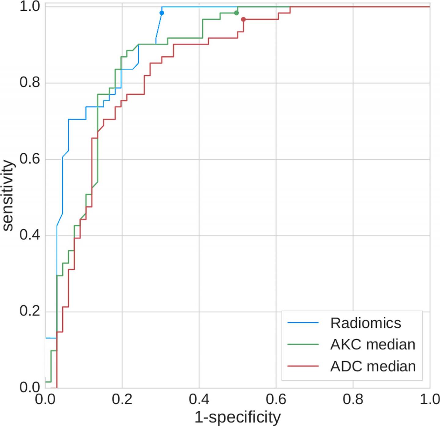 Receiver Operating Characteristic Plot for the Radiomics Model