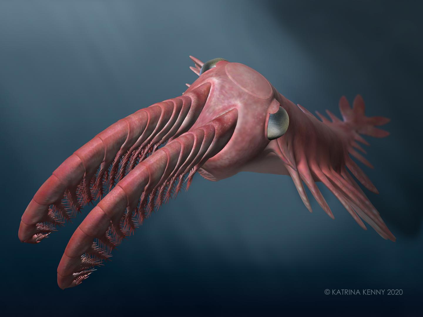 Ancient marine creatures