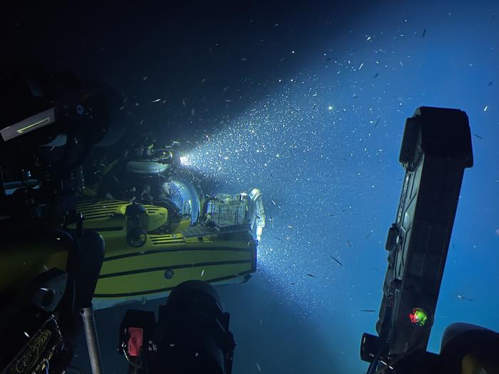 KAUST and NCW scientists exploring the Farasan Bank.