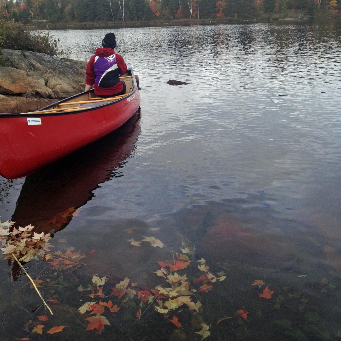 Leaves Accumulated in Lake with Canoe