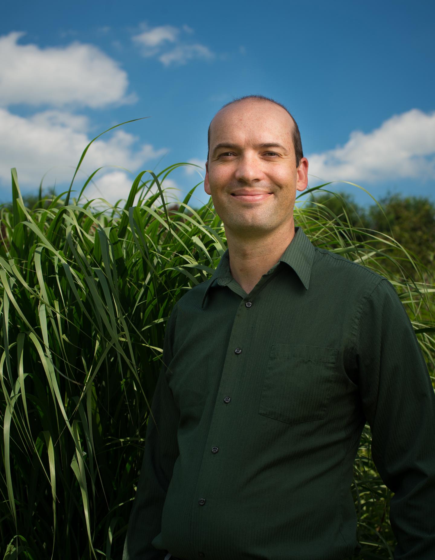 David Lowry, Michigan State University