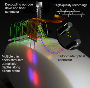 Scheme of the new Fused Fiber Light Emission and eXtracellular Recording (FFLEXR).