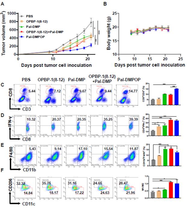 The anti-tumor effects of Pal-DMPOP on MC38 model via CD8+ T cells and macrophages.