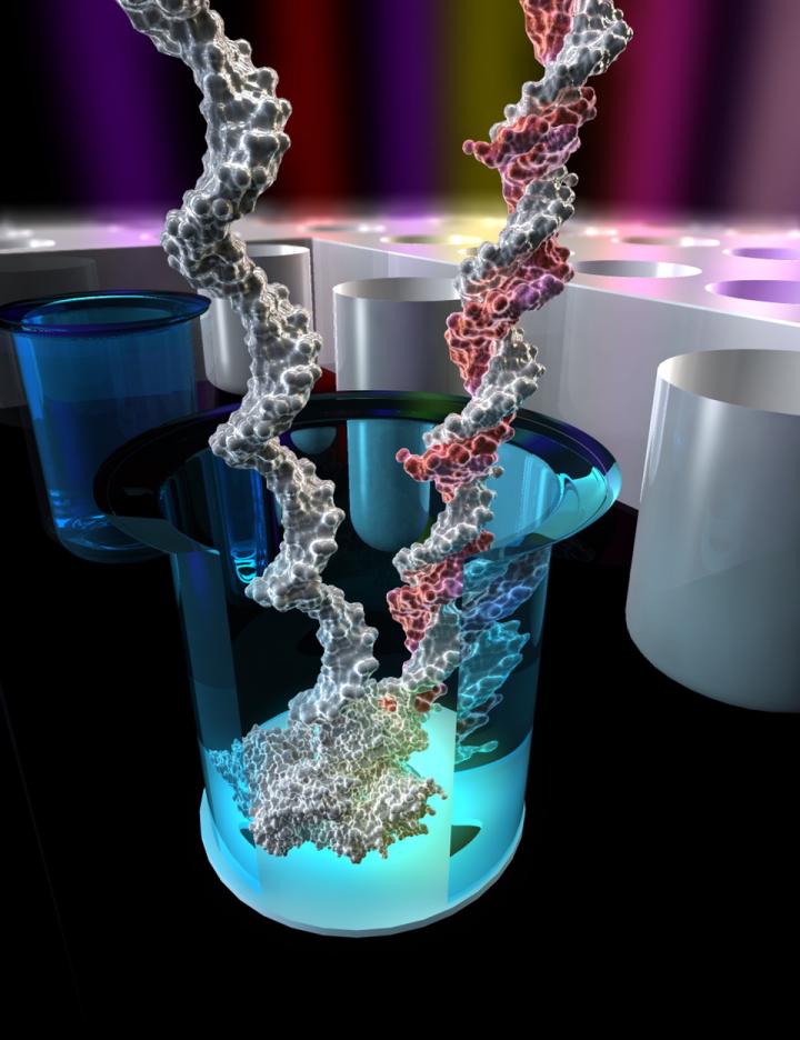 Sequencing Single DNA Molecules in Nano-Wells