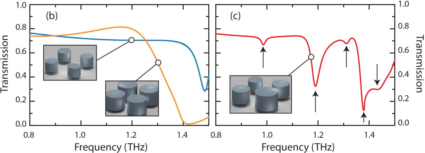 Frequency Response