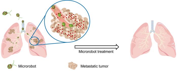 microrobots treat lung metastasis - illustration