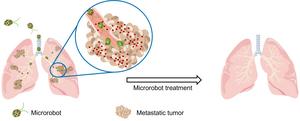 microrobots treat lung metastasis - illustration