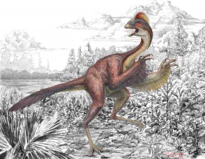 <i>Anzu wyliei</i>, the 'Chicken from Hell' Dionosaur