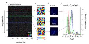 Reconfigurable focusing of nonlinear signals via wavefront shaping method based on SM.