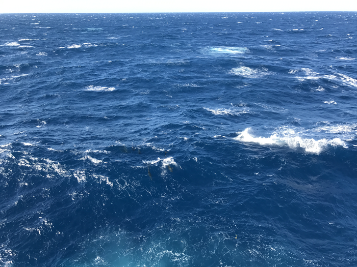 Choppy Seas Over the Gulf of Mexico
