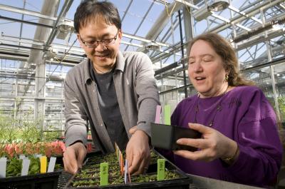 Ho Won Jung and Jean Greenberg, University of Chicago Medical Center