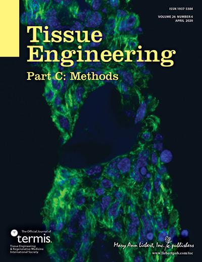 Tissue Engineering