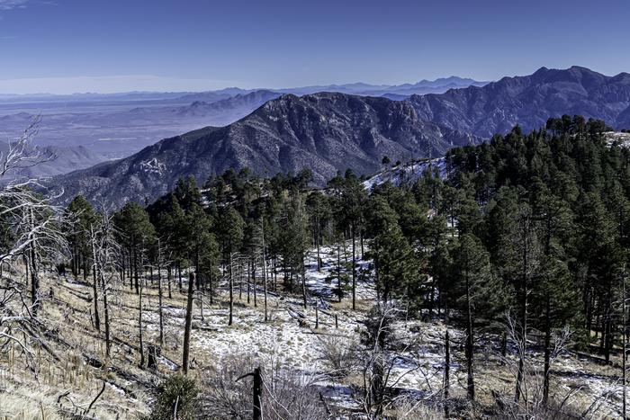 The Chiricahua Mountains