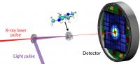 X-ray laser probes molecule's response to charge transfer in atomic and ultrafast detail