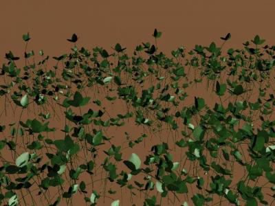 Guerrilla Trifolium in Virtual Prairie Project