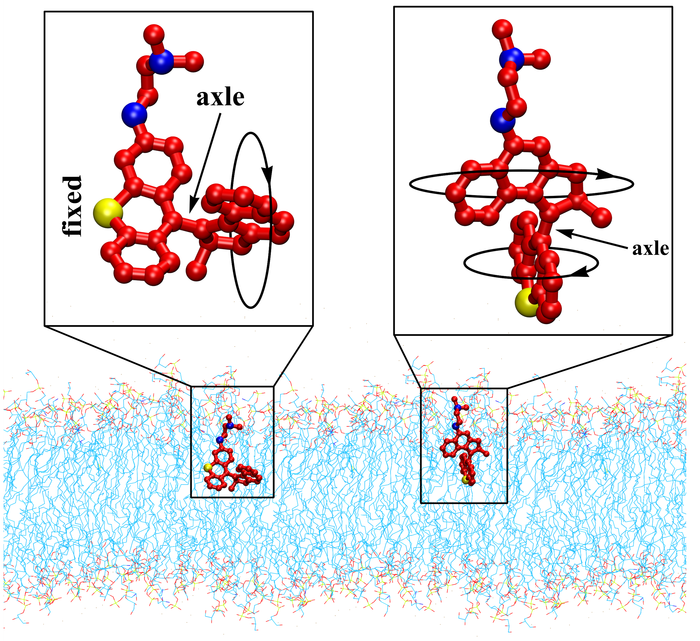 Schematics of bacteria-killing molecular machines