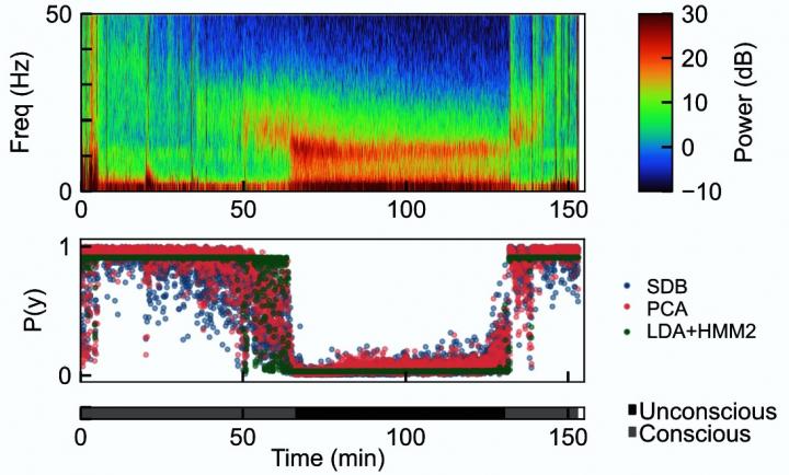 Rhythms and Predictions