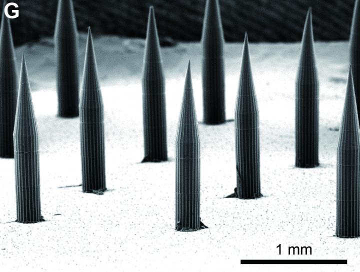 Quantum Dot Technology Invisibly Records Vaccination History on Skin (2 of 6)