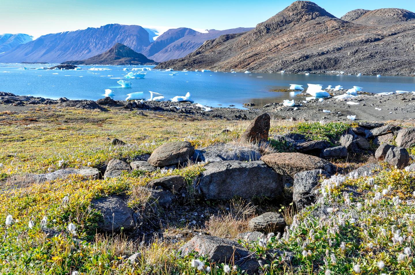 Tundra landscape