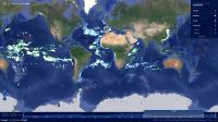 Filtered by country, this global fishing watch view reveals fishing activity for Chinese and Spanish
