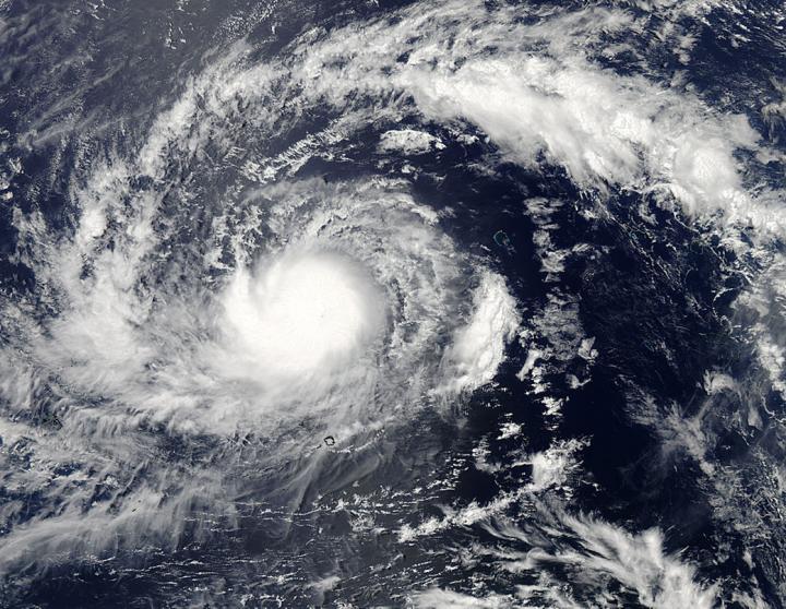 MODIS Image of Dolphin