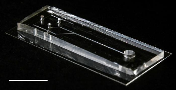 The artificial silk gland is a microfluidic device